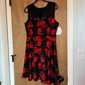 He louse Ed St. Dress Size XL